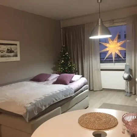 Cosy And Big In The Centre Rovaniemi